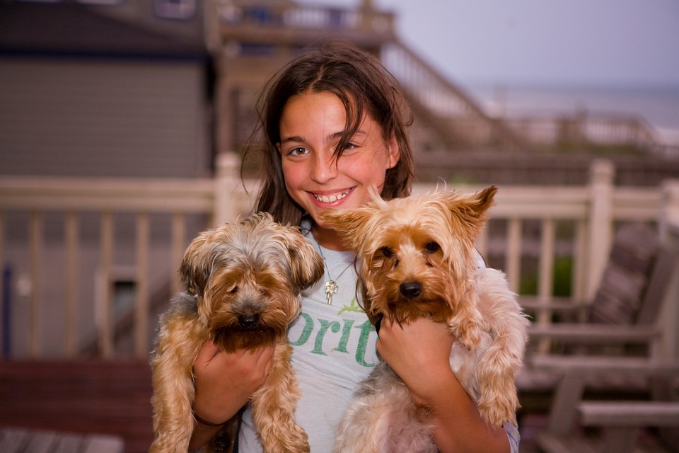 two dogs and a girl