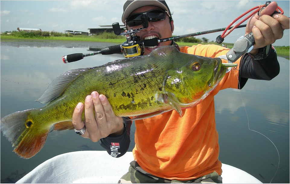 fishing bass