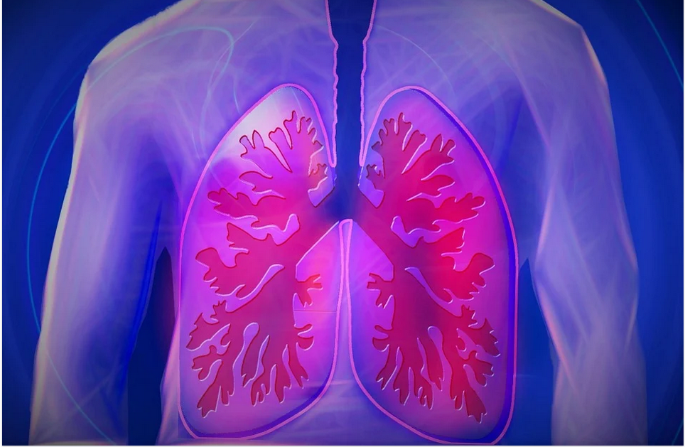parts affected by copd