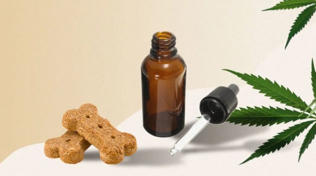 CBD treats